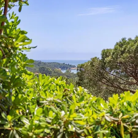 아파트 Close To Gigaro Beach, Surrounded By Nature 라크루아발메르